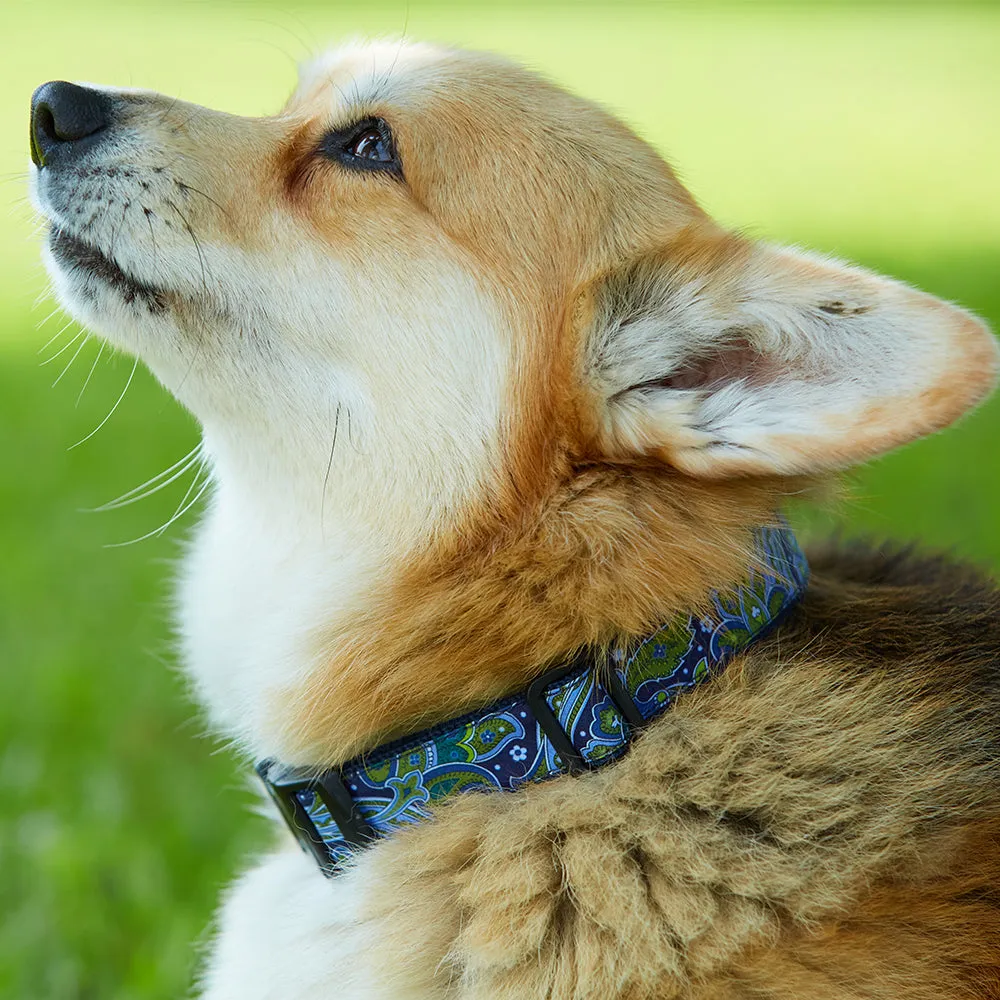 Clarkia - Dog Collar