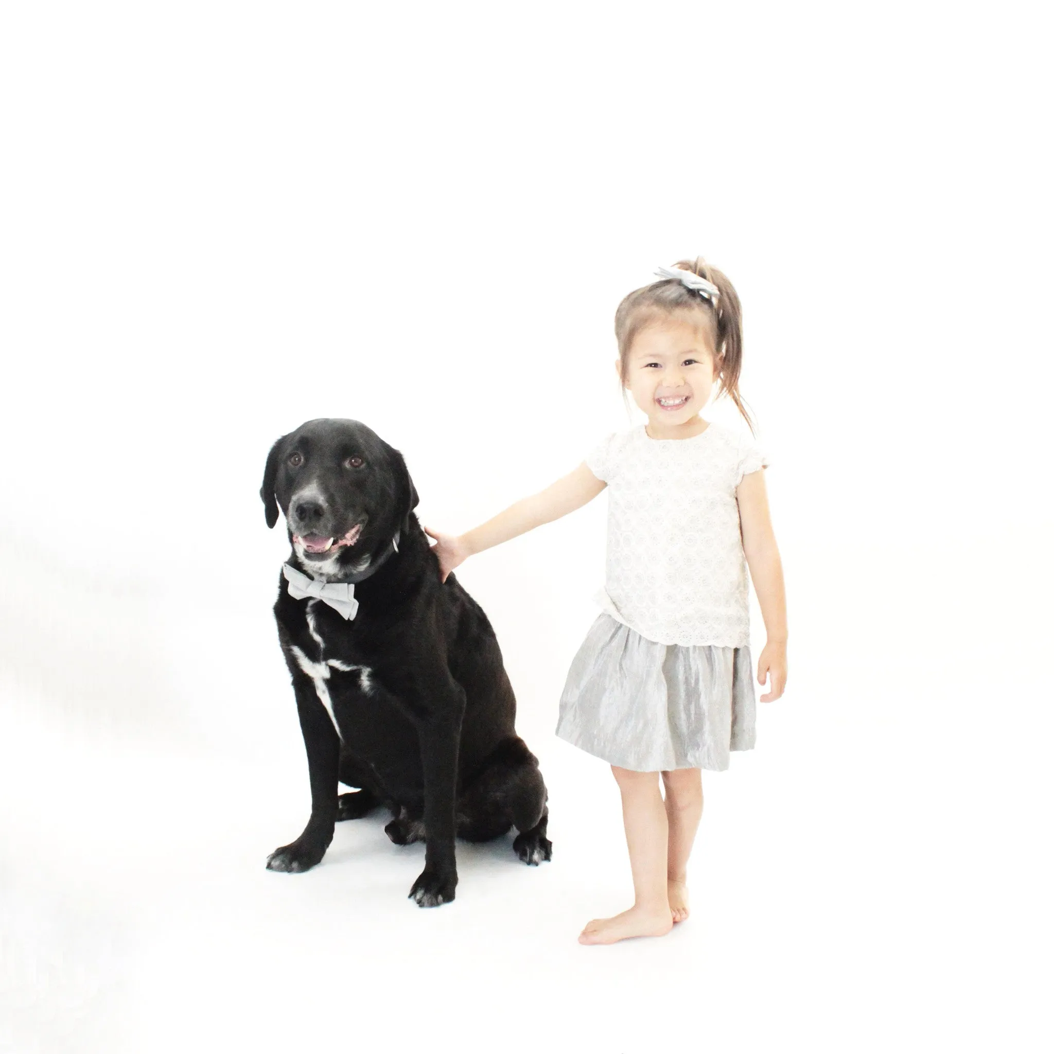 Eden Dog Bow Tie Collar
