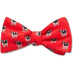 Middlebury Red - bow ties