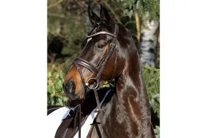 Passier Apollo Snaffle Bridle