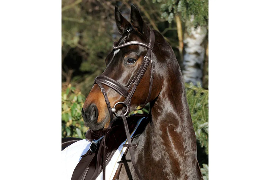 Passier Apollo Snaffle Bridle