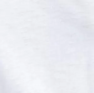 RAG & BONE THE SLUB TEE