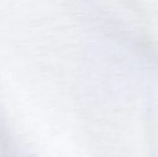 RAG & BONE THE SLUB TEE