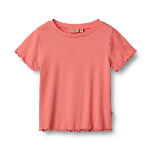 Rib T-Shirt S/S Irene