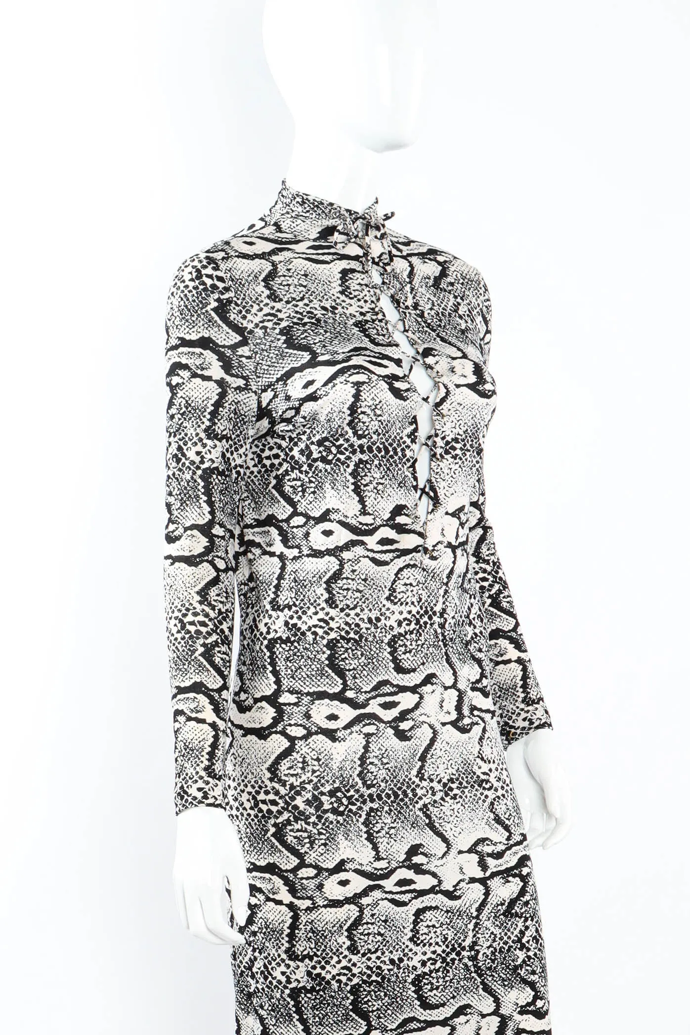 Snake Print Lace Up Dress