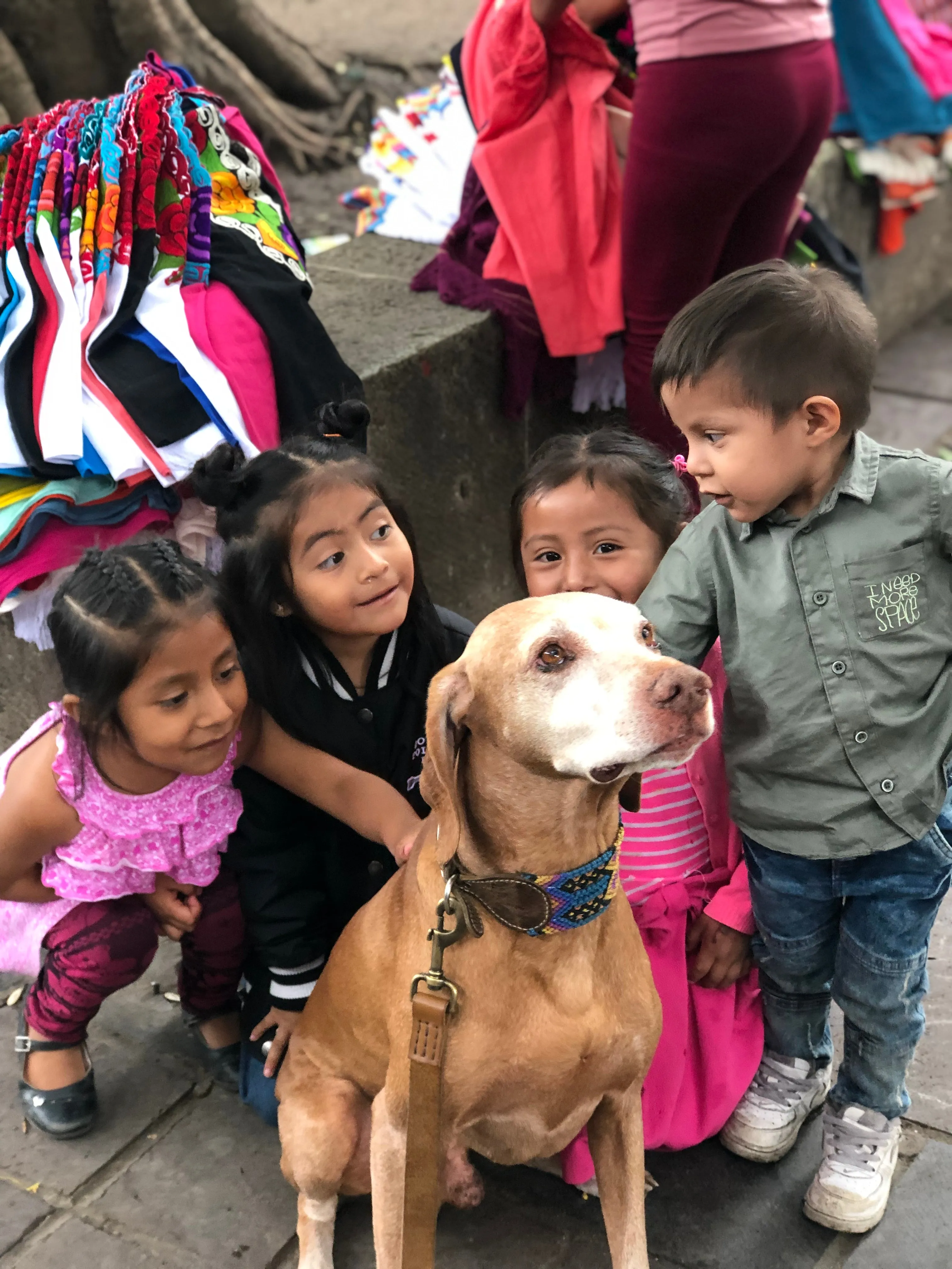 The Boozie Chiapas Dog Collar