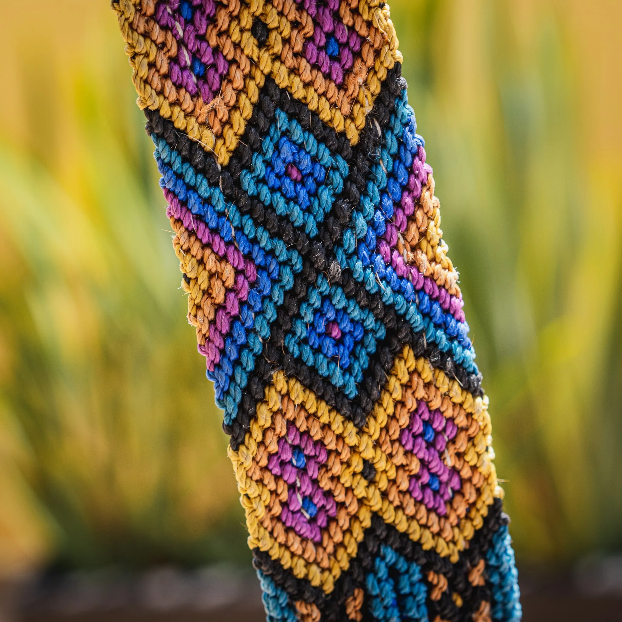 The Boozie Chiapas Dog Collar