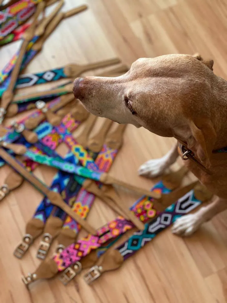 The Boozie Chiapas Dog Collar