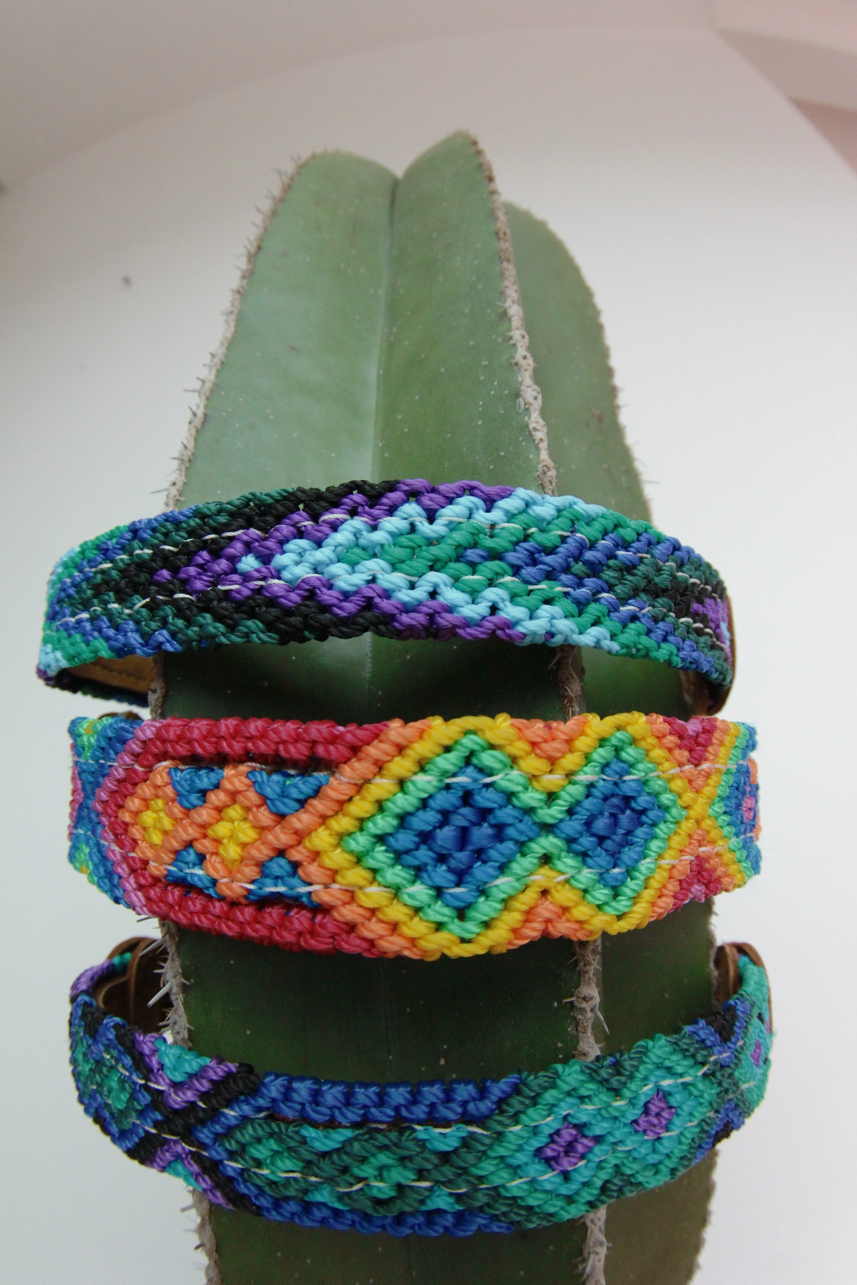 The Boozie Chiapas Dog Collar