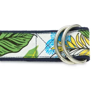 Tongass - D-Ring Belts