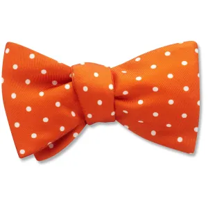 Wallonia - bow ties